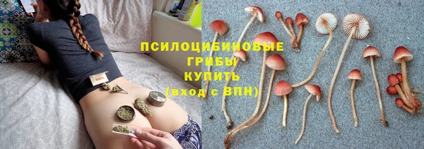 мескалин Балахна