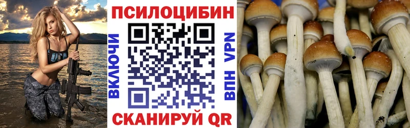 Псилоцибиновые грибы Cubensis  Купить закладки  Зуевка 