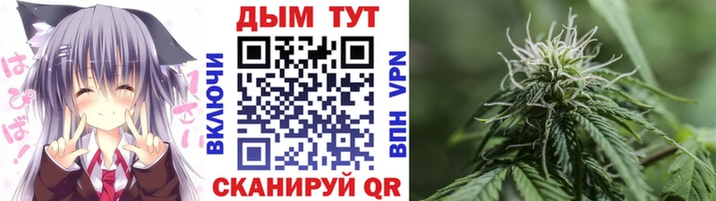 Купить где Зуевка МАРИХУАНА SATIVA & INDICA